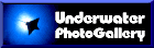 UnderwaterPhotoGallery